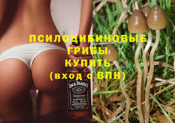 ПСИЛОЦИБИНОВЫЕ ГРИБЫ Алексин