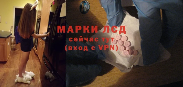 ПСИЛОЦИБИНОВЫЕ ГРИБЫ Алексин