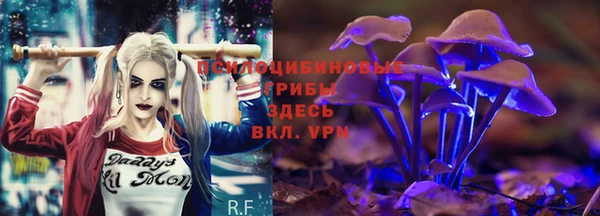 синтетический гашиш Алексеевка