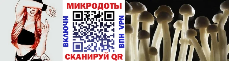 сколько стоит  Удачный  Галлюциногенные грибы Magic Shrooms 